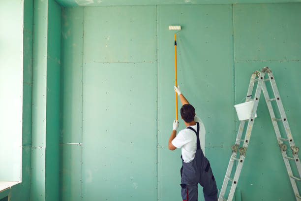 Reliable Holland, OH Drywall & Painting Services Solutions